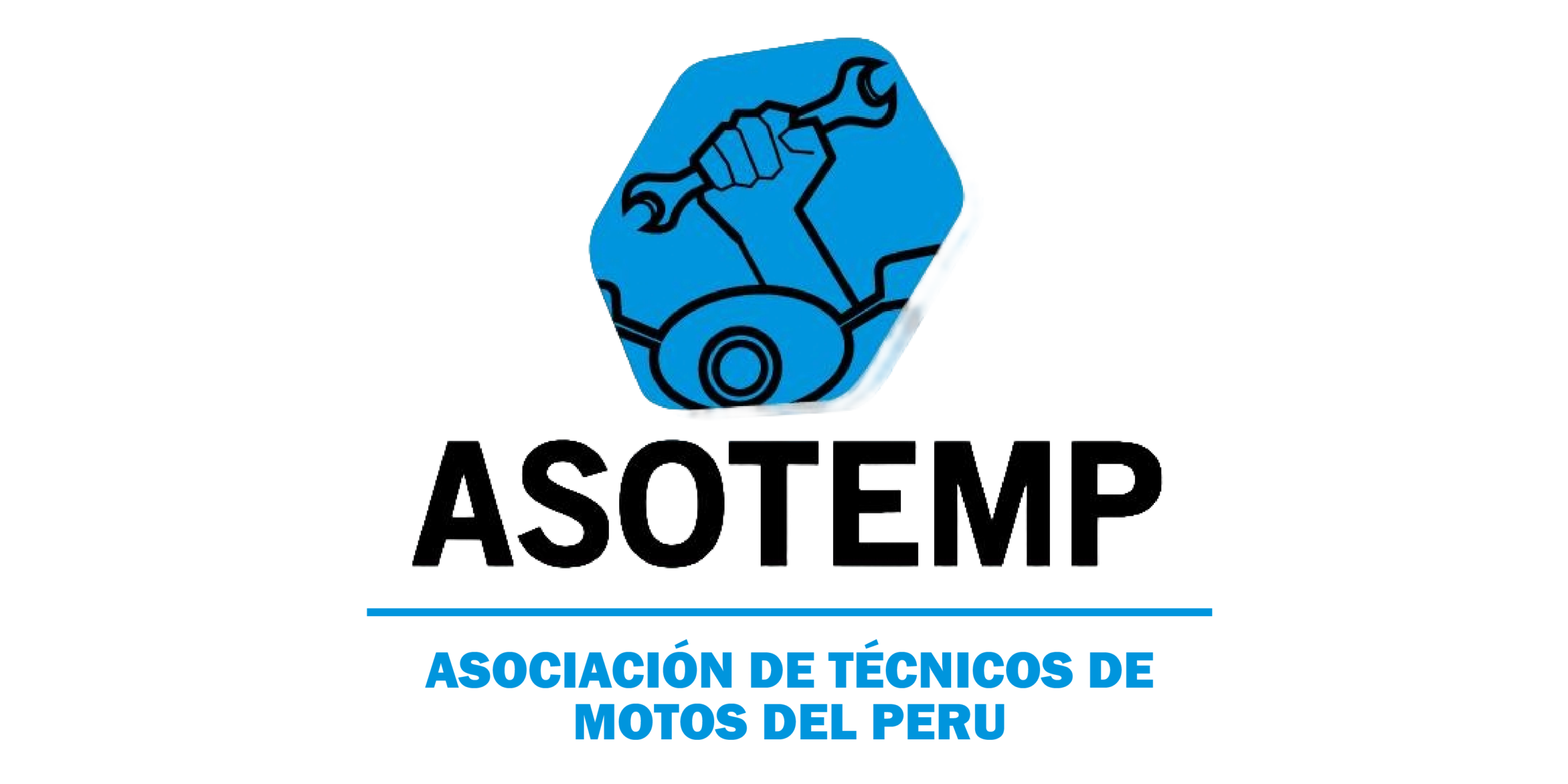ORGANIZADOR